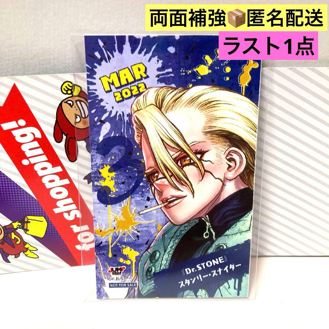 Dr.STONE ドクターストーン ジャンプショップ ミニブロマイド