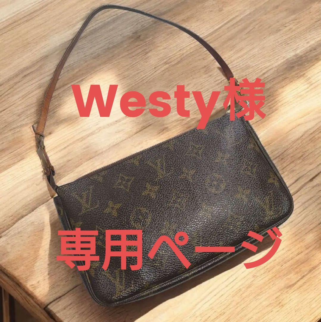 〈美品〉LOUISVUITTON　モノグラム　アクセソワール　M51980