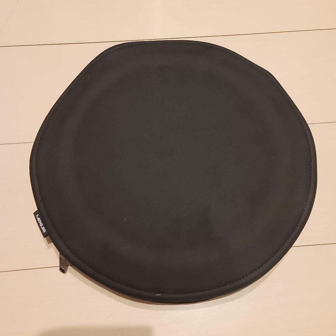 Lexus レクサス 純正 ES専用 サンシェード