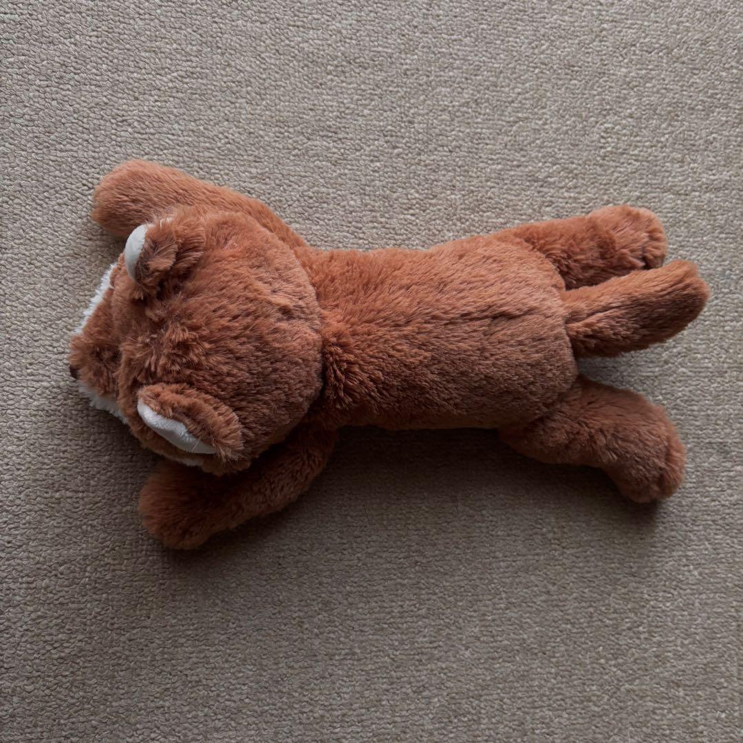 みやかわくん 宮川大聖 クタクタぬいぐるみ ニトリ キツネ - メルカリ