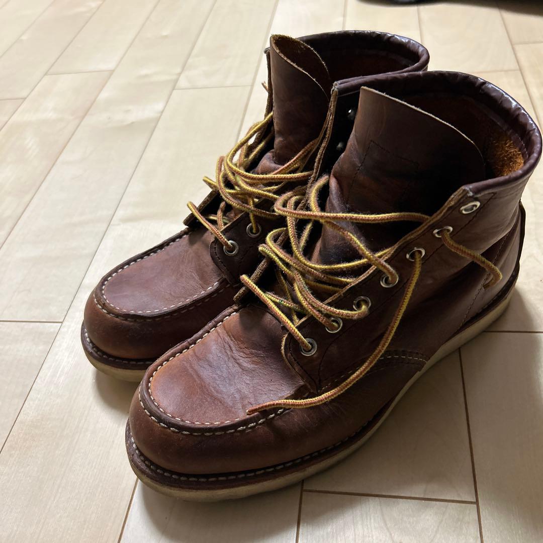 くろ様専用 果樹 ブルーベリー、イチジクの穂木各種の通販はau PAY