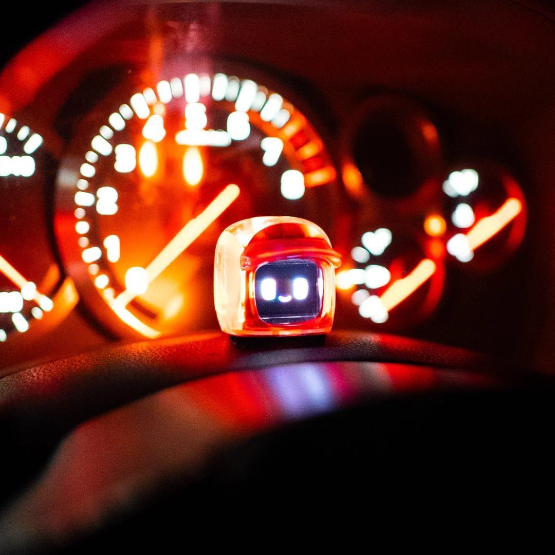 ダサイ もち 3 FUTURES MOCHI 未来もち オレンジ DASAI