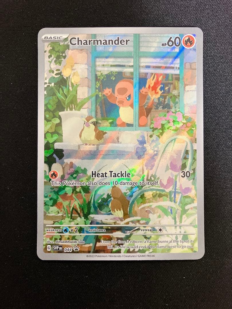 ヒトカゲ AR プロモ フルアート エリートボックス 英語 海外 ポケモン