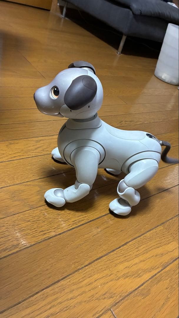 SONY aibo アイボ ERS-1000