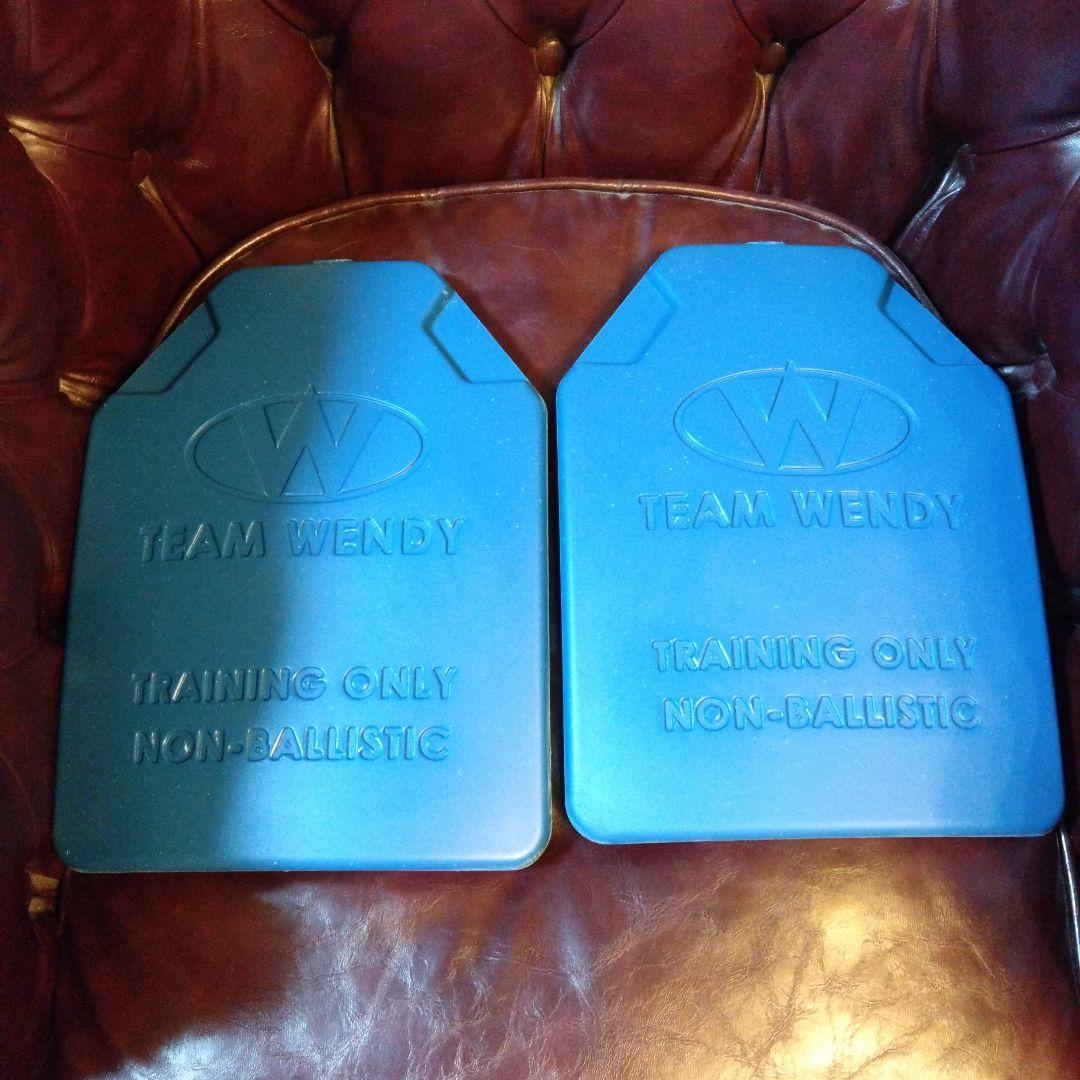 チームウェンディ　リアルウェイトダミープレート　2枚組