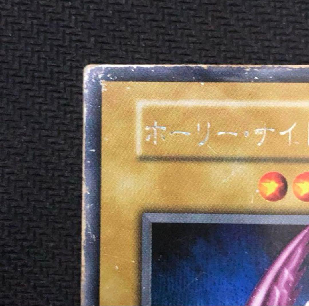 ネスタ様専用【歴戦個体】ホーリーナイトドラゴン 初期シークレット