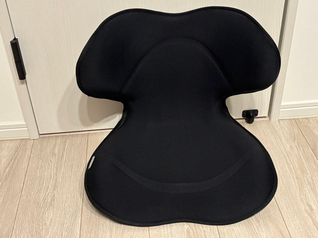 Style SMART】骨盤・姿勢矯正クッション