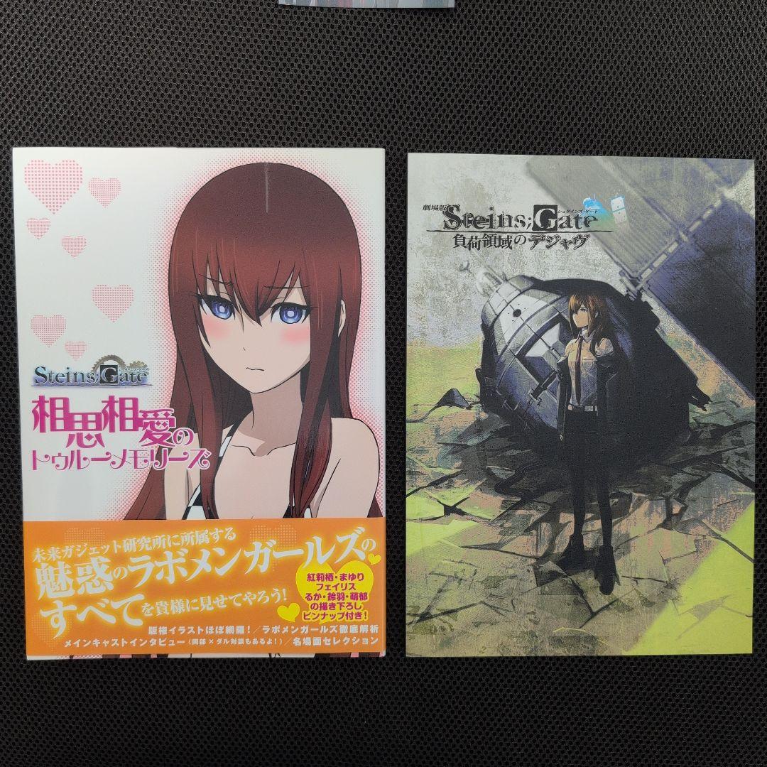 た*し様 シュタインズゲート Blu-ray/DVD全巻購入特典特製小冊子 ＋ま