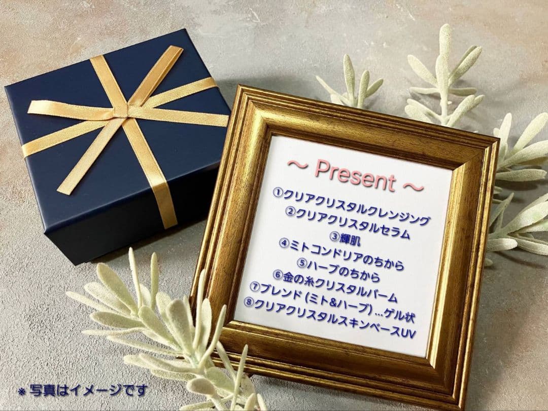 アキノリオ 輝魔女プレミアム ☆┏★1月スペシャル企画☆彡☆サンプル4コ付き☆