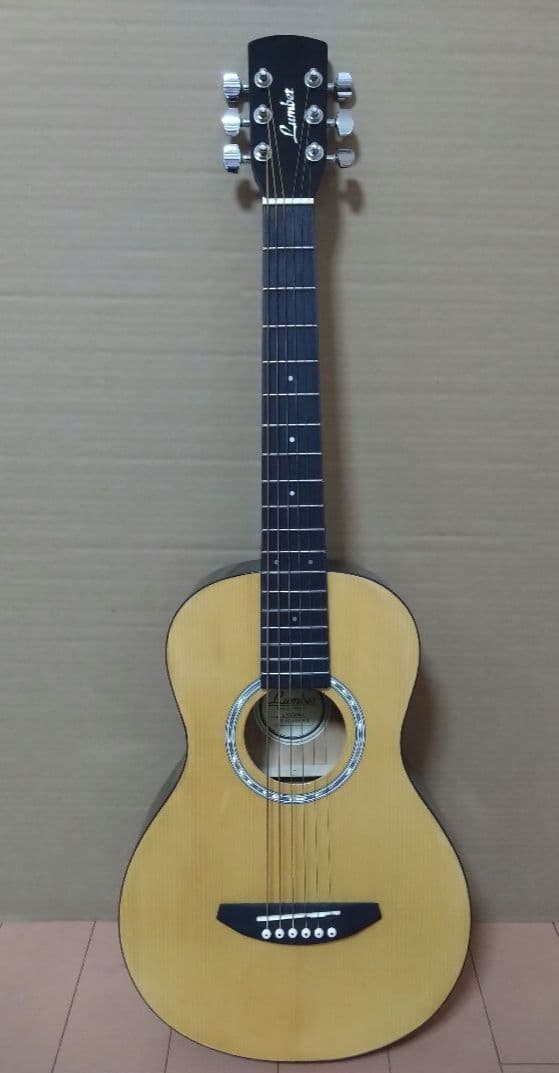 アコースティックミニギター LumberL100MNA ケース他付属品５点 楽天市場】ミニギター アコースティック ブラックの通販