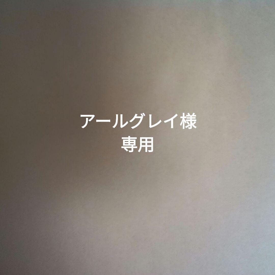 アールグレイ Size 9 Men's / 10 Women's adidas Terrex Hyperblue Mid R.Rdy