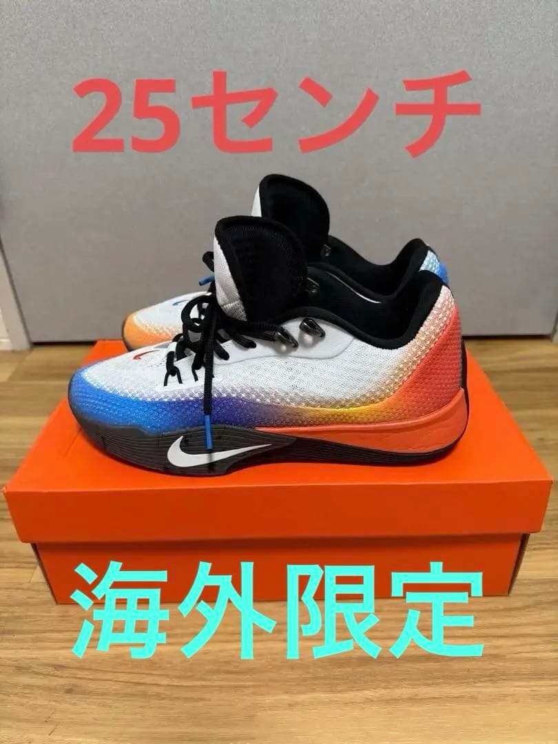 シューズ(男性用) Nike S.T. Flare EP \