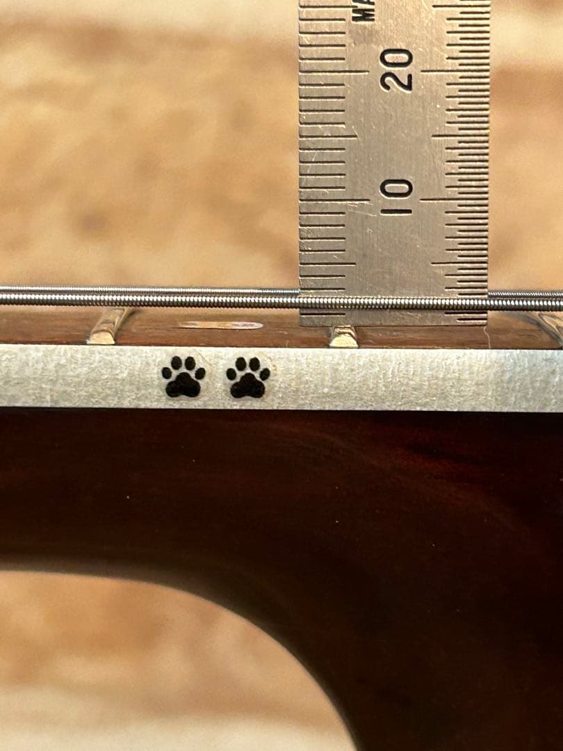 タカミネTD-27(豆しばバージョン)