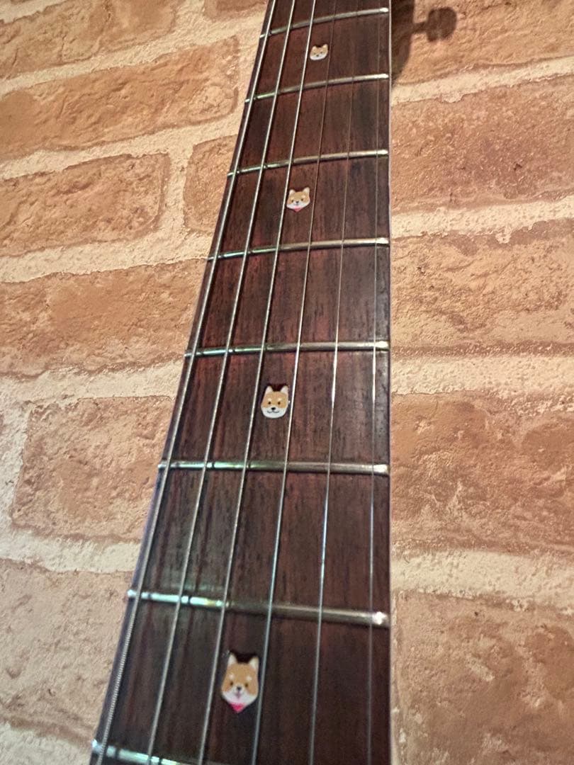 タカミネTD-27(豆しばバージョン)