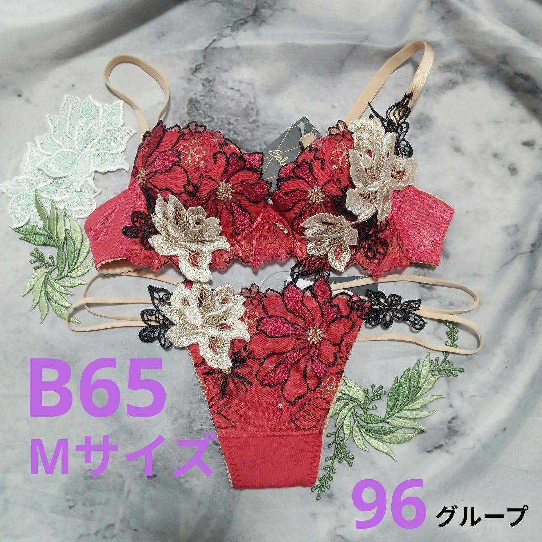 サルート B65 96グループ