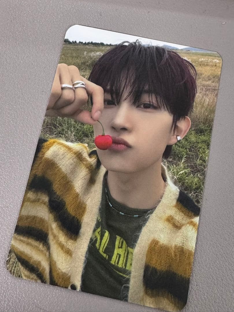 韓国　Alphadriveone　ALD1　サノク　ゴヌ　トレカ alphadriveone ALD1 アルファカンパニー トレカ ゴヌ 10 - メルカリ