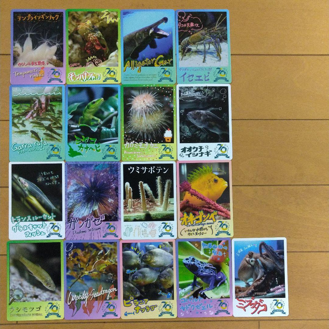 鳥羽水族館 コレクションカード 70周年記念 - メルカリ