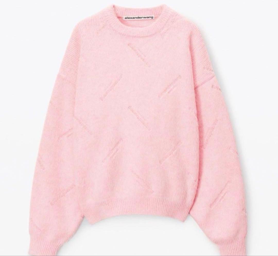 ALEXANDER WANG デボスドロゴ ブラッシュドクルーネック