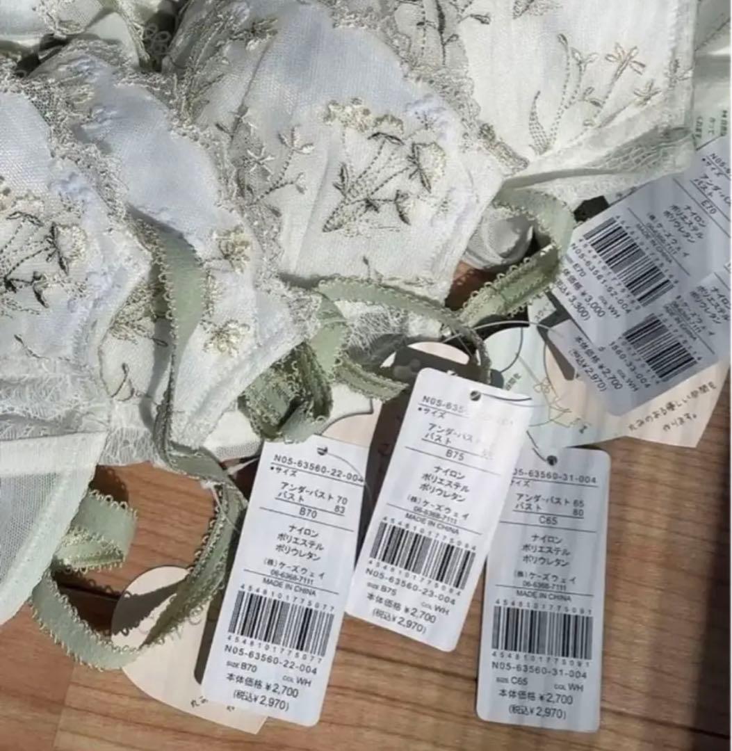 藤原ましろ* エラシリーズ(スリップ・ブラ・ショーツ)