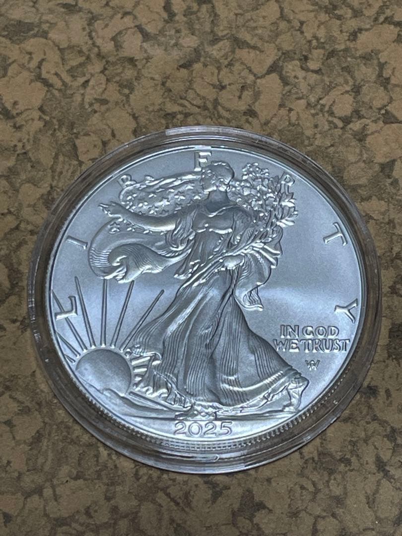 2025年 アメリカンイーグル 1ドル 銀貨 1オンス 純銀 ケース付き