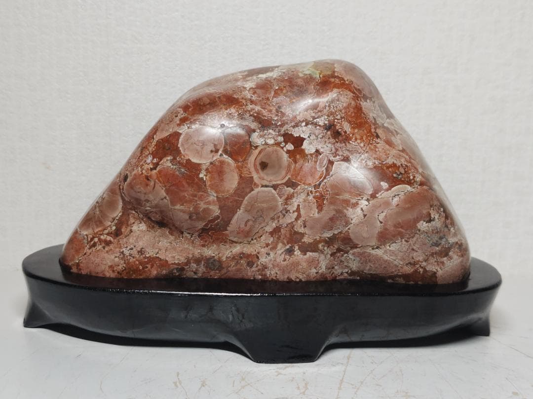 梅花石 1.6kg 鑑賞石 原石 菊花石 紋石 花紋石 自然石 水石 置石