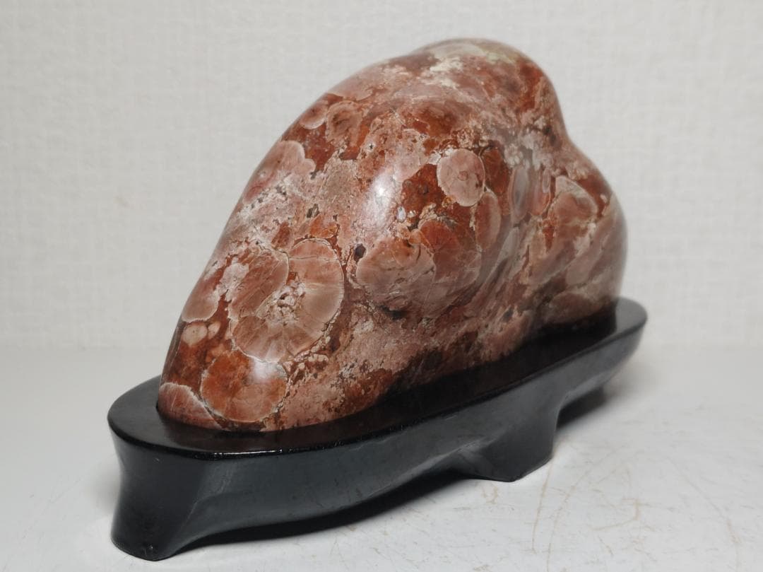 梅花石 1.6kg 鑑賞石 原石 菊花石 紋石 花紋石 自然石 水石 置石