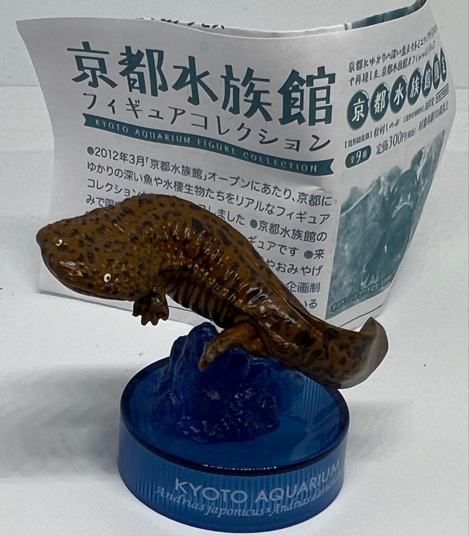 オオサンショウウオ(交雑種/茶) 「京都水族館フィギュアコレクション