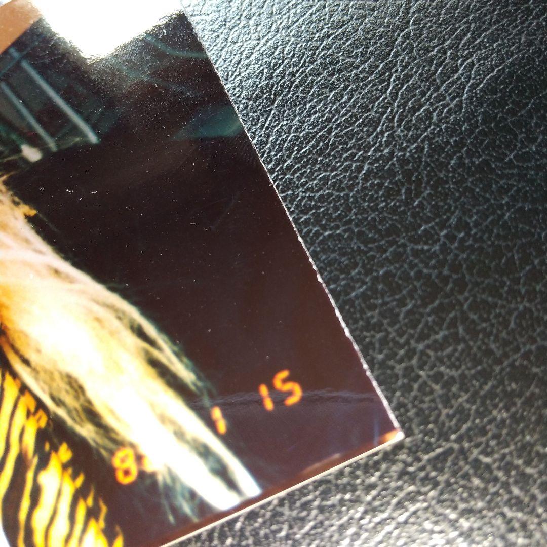 レア】X TAIJI 生写真 インディーズ時代 1988年 - メルカリ