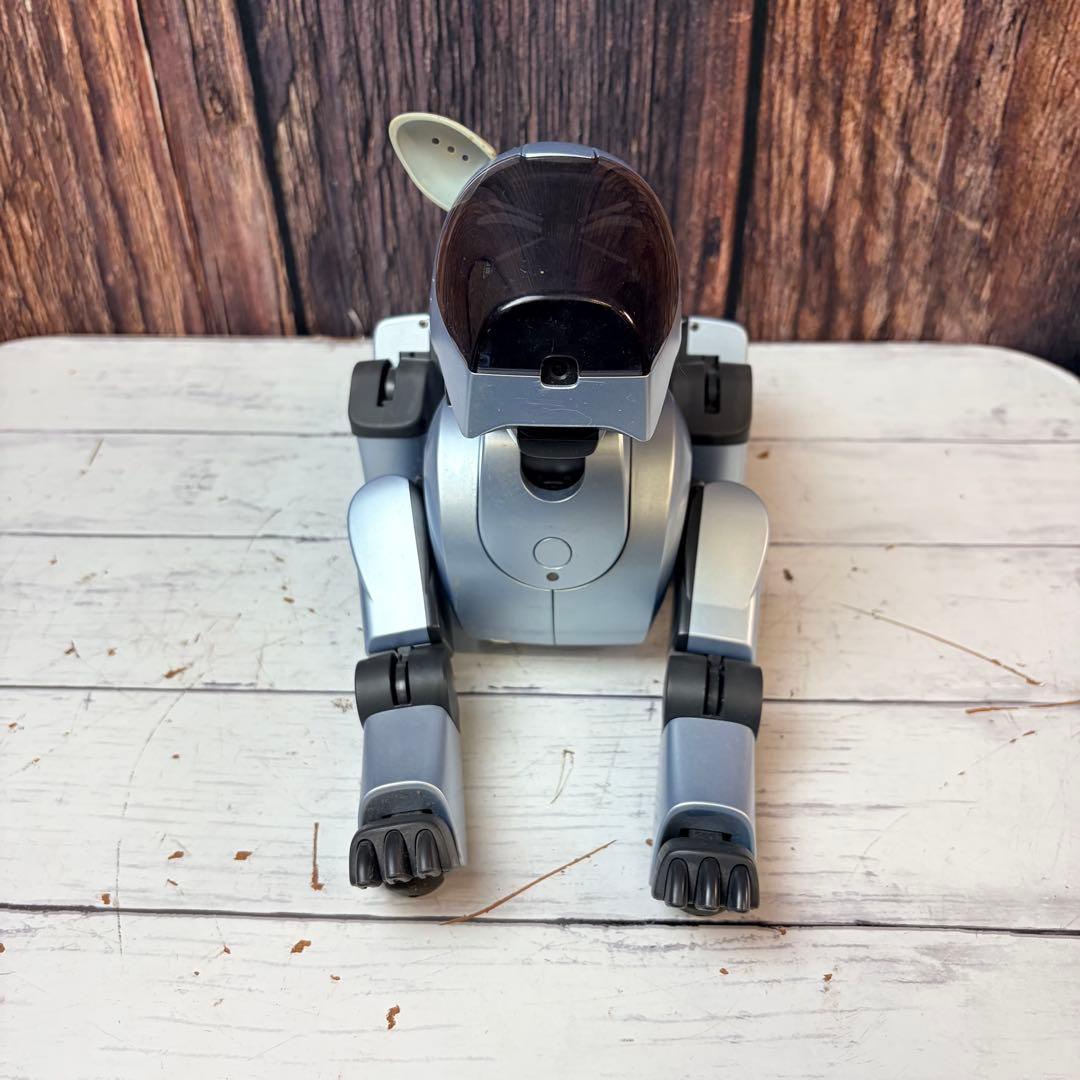 SONY ソニー AIBO アイボ ERA-210P1 シルバー 通電確認済 - メルカリ