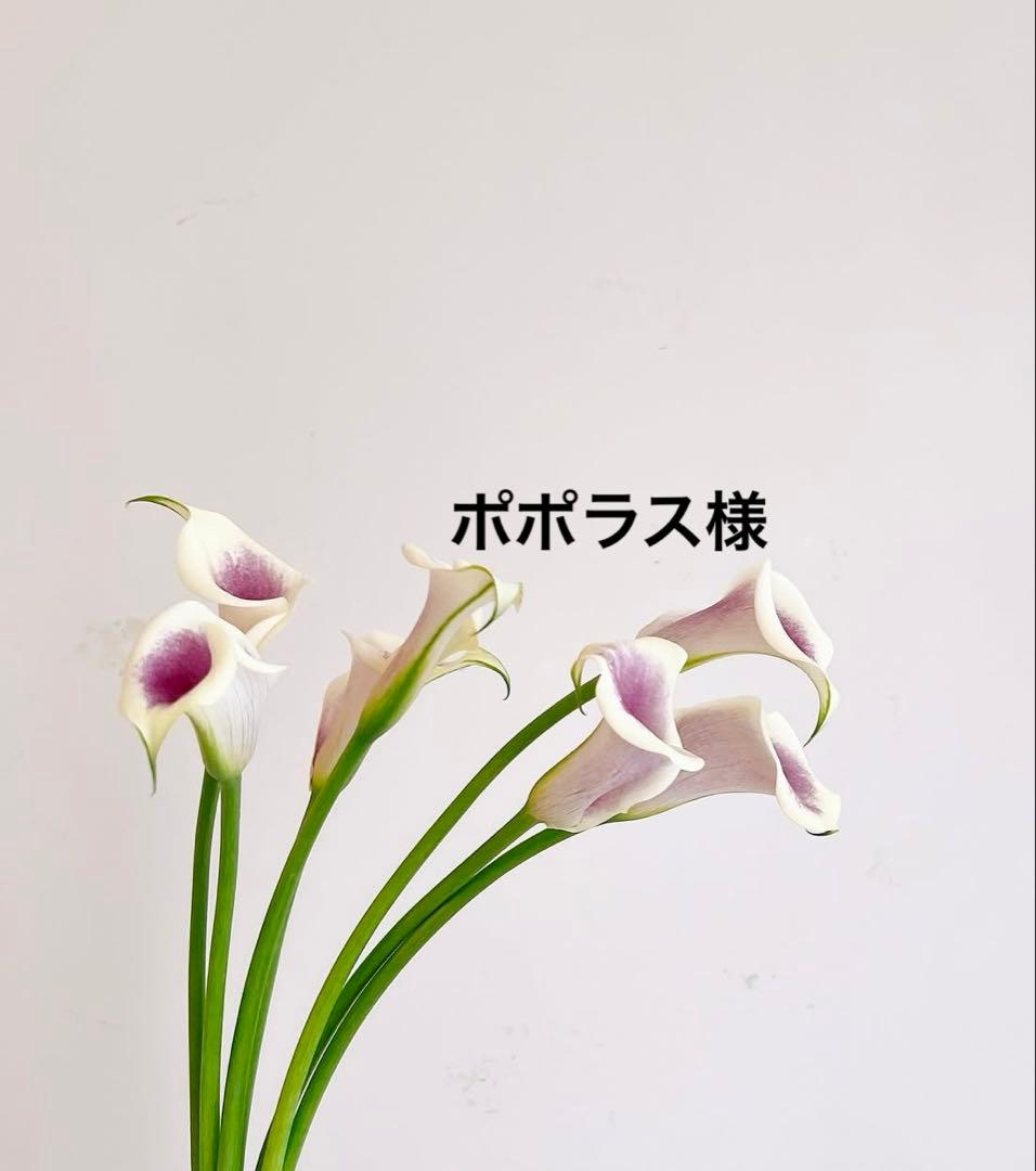 v3 プロテクションサンスクリーン　日焼け止め　スピケア　VOS V3ボディプロテクションサンスクリーン 100ml 5,500円（税込）SPF50 PA