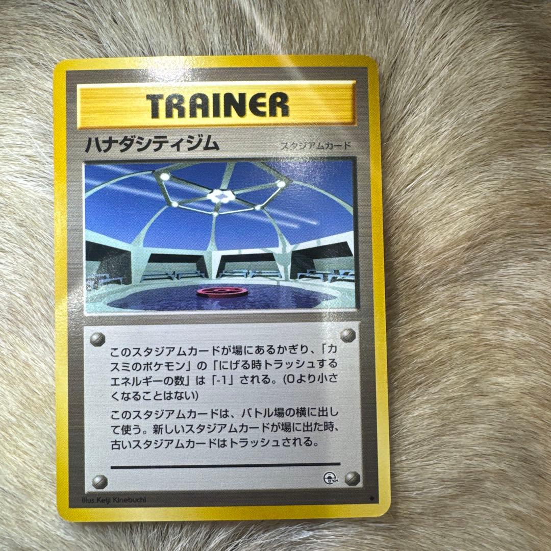 ハナダシティジム ◇ ジム拡張第1弾 リーダーズスタジアム - メルカリ