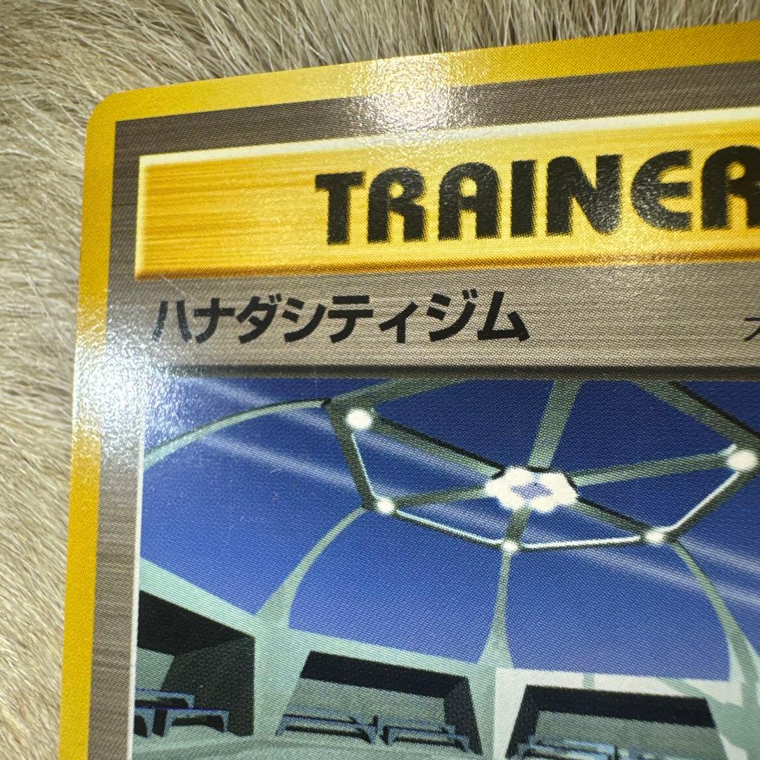 ハナダシティジム ◇ ジム拡張第1弾 リーダーズスタジアム - メルカリ