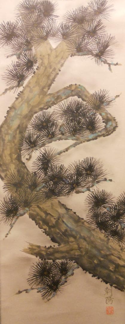 掛け軸 小川朝陽 老松 紙本 希少 軸装 茶道具 掛軸 美品 です。 小川香月筆 桜花爛漫 肉筆絹本掛軸（紙箱） 掛け軸 床の間 書 おしゃれ