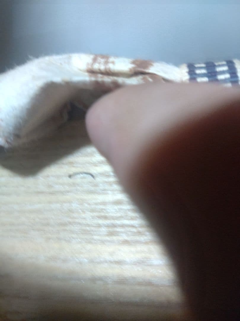 バツグンのアガリ!!若尾利貞造 志野花入 共箱 検（無形文化財 - メルカリ