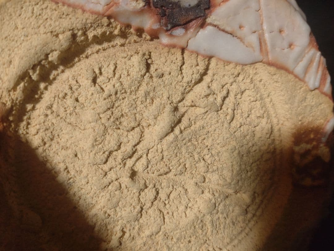 バツグンのアガリ!!若尾利貞造 志野花入 共箱 検（無形文化財 - メルカリ