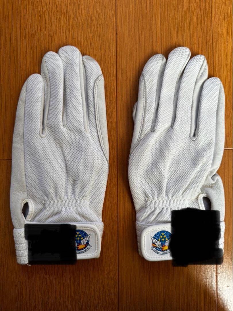 空自　ブルーインパルス　手袋