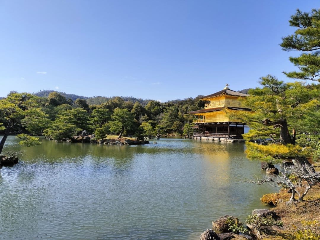 【たかぼー】11月12日テキスト出品