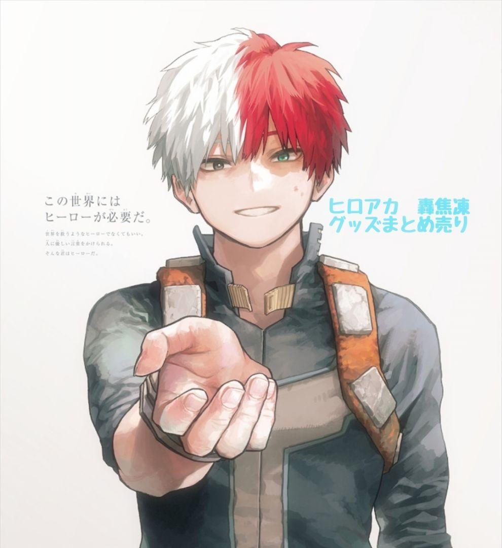 ヒロアカ　轟焦凍まとめ売り