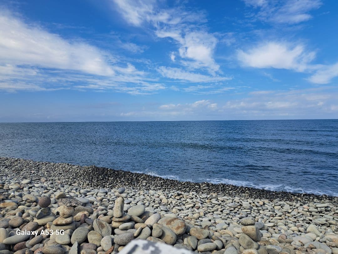 おまとめ専用出品