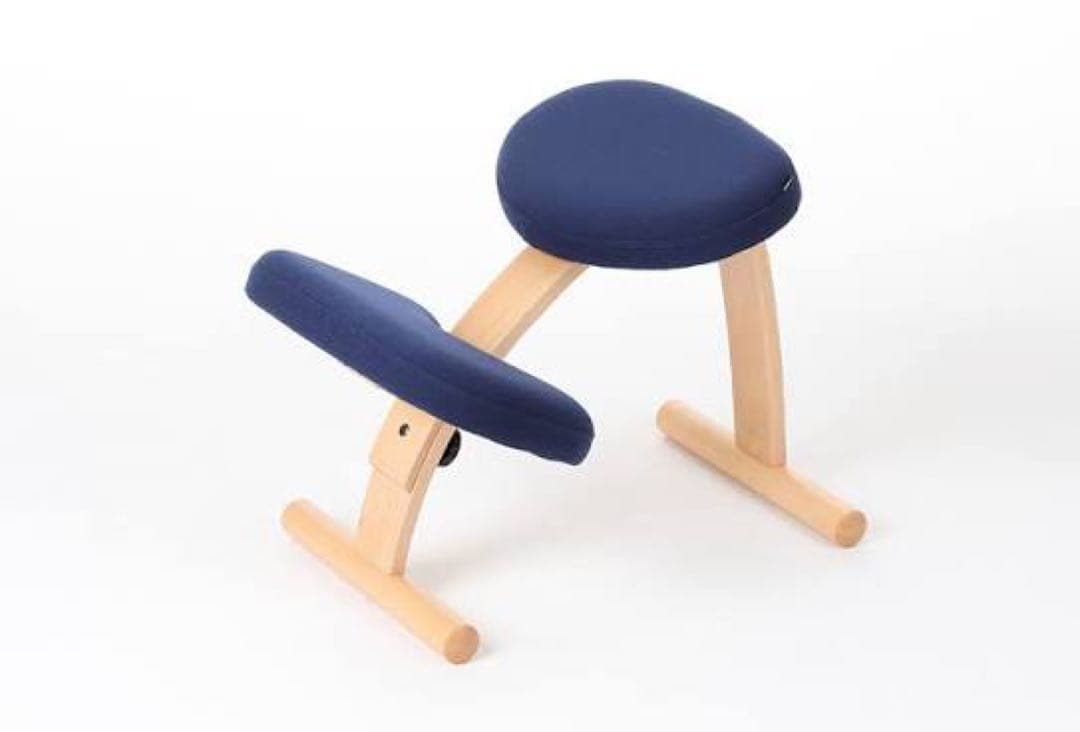 【詳細画像付き】balans Easy 骨盤・姿勢矯正用チェア 説明書付属