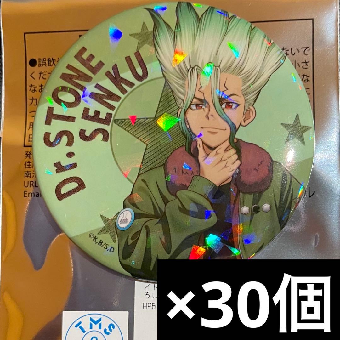 dr.stone スキマストア フライトジャケット 缶バッジ 30個 石神千空