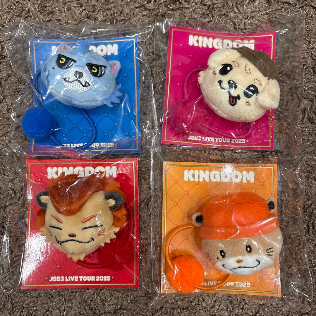 【ポンポンキャラクターヘアゴム4つセット】NAOTO ØMI 今市隆二　岩田剛典