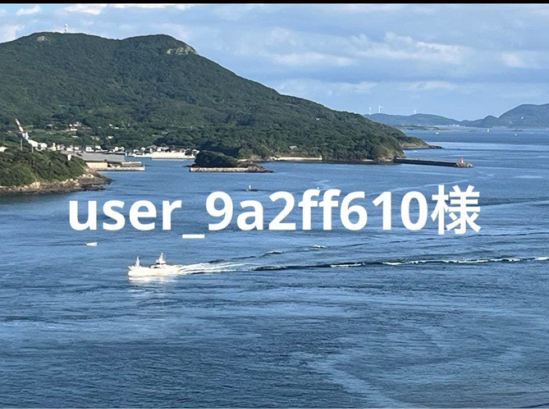 user_9a2ff610様