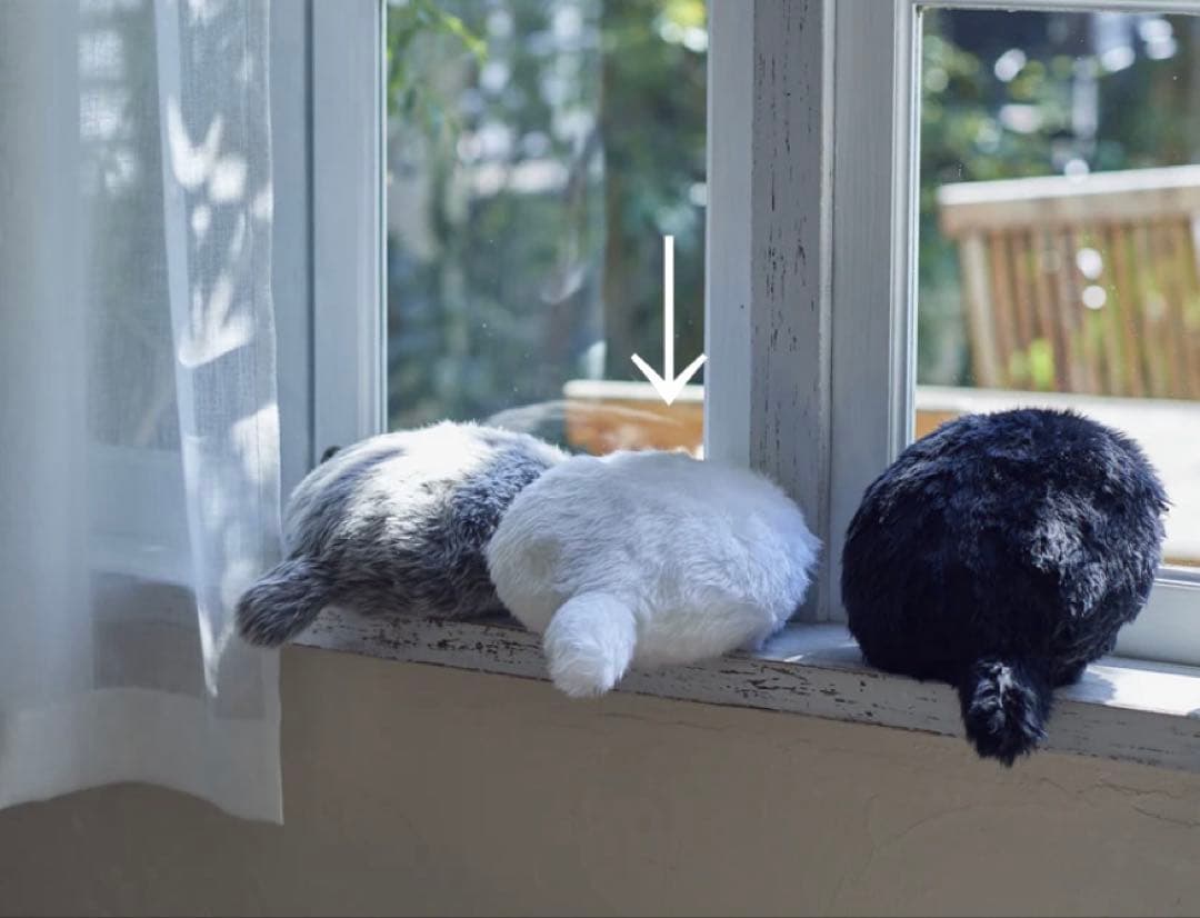 プチクーボ PPX（ピーピーエックス）｜共豊コーポレーション公式サイト