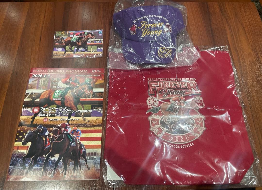 フォーエバーヤングBC優勝記念　オリジナルキャップ&トートバック等 競走馬イラストトートバッグ【フォーエバーヤング】 | カテゴリー一覧