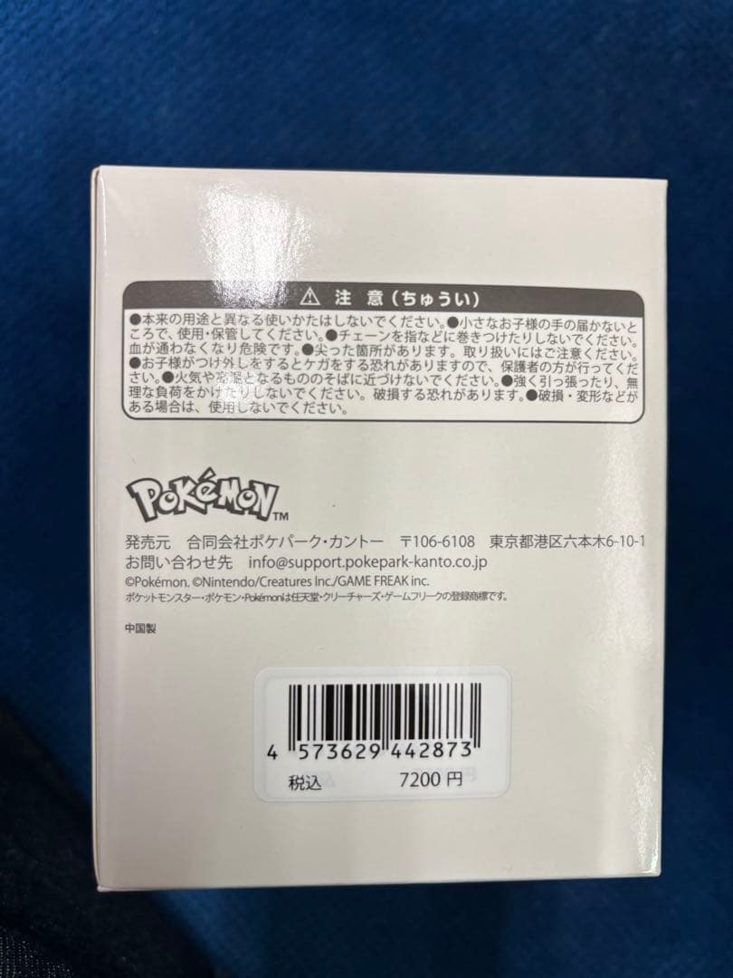 ポケパークカントー限定 イーブイズ アクリルキーホルダーフルコンプ