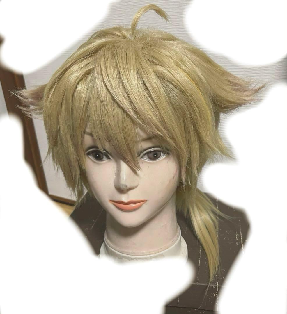 FANCY TOXIC伏見ガク風セット済ウィッグ - メルカリ