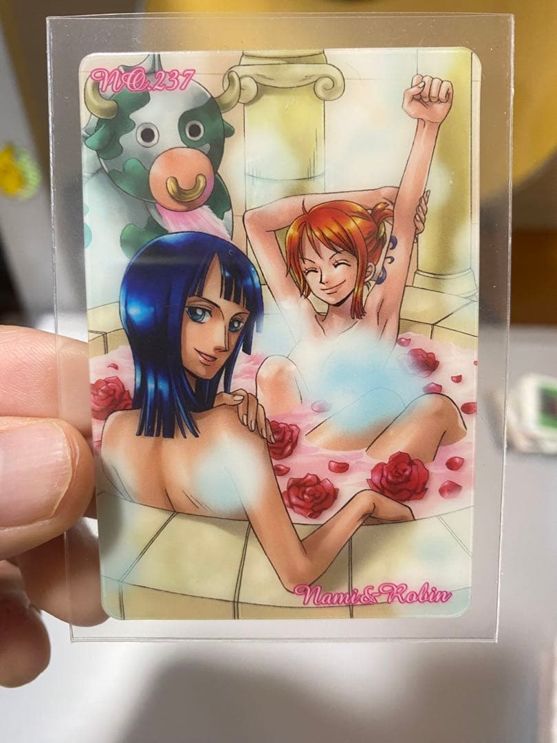 入浴シーン　ワンピース　海賊王　キャラクター　カード　ナミ　ロビン ラスト1枚