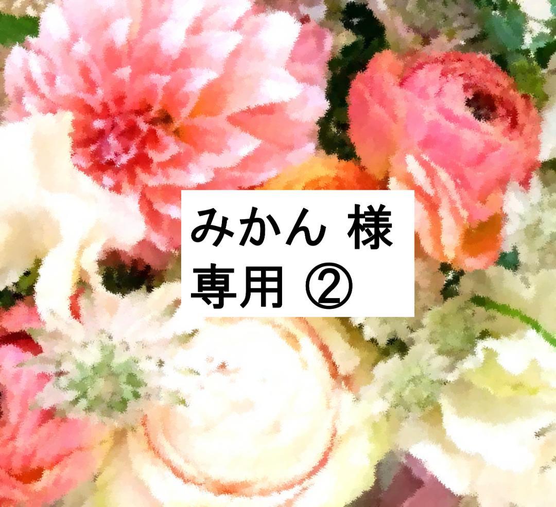 みかん ② 2023年 最新版フルセット 未使用美品多数 DWE せとか みかん 2キロ 良品 サイズ混合 家庭用 2kg まれに傷有 柔らかい