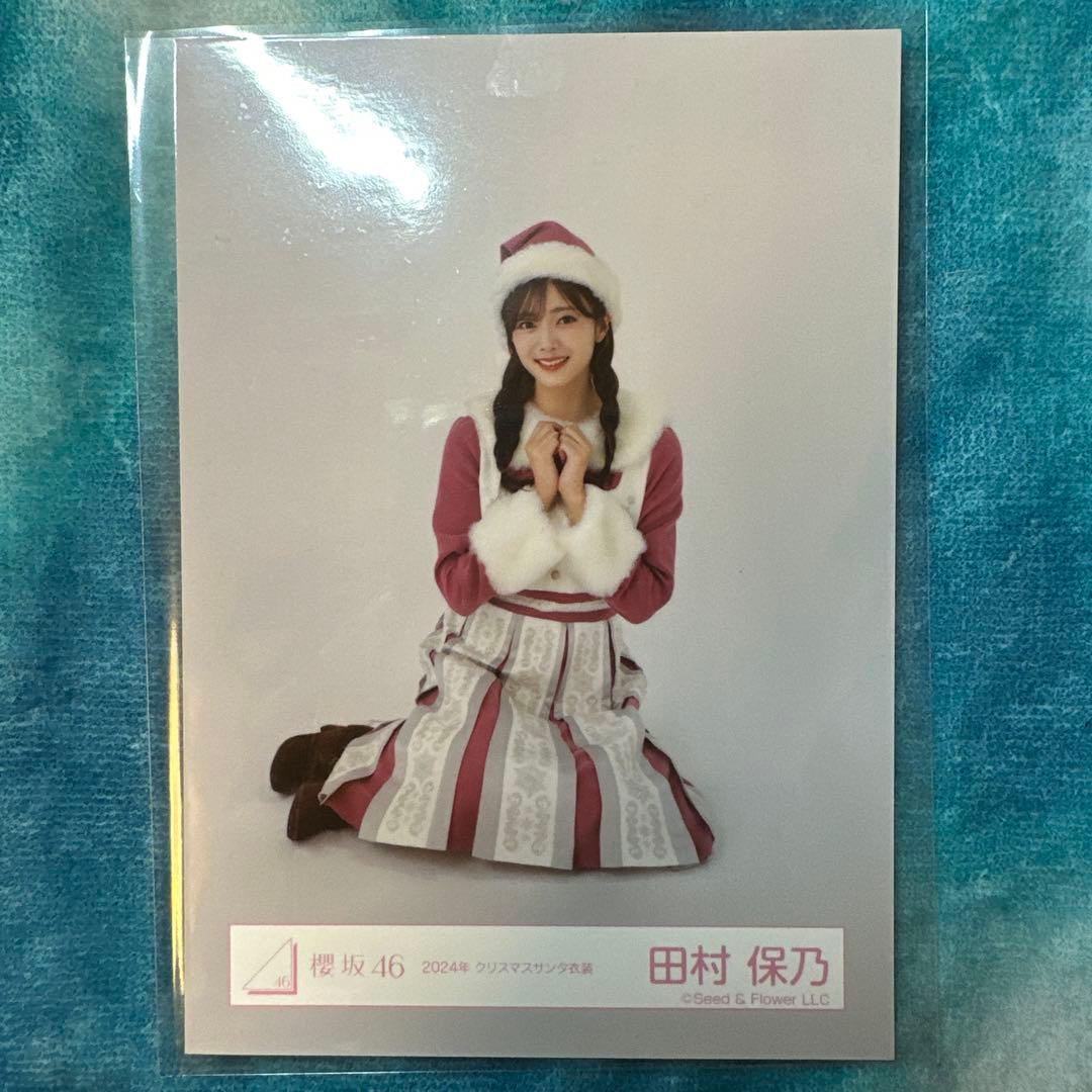 田村保乃/座り/櫻坂46ランダム生写真【2024年 クリスマスサンタ衣装